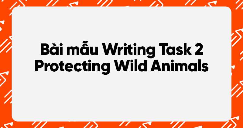bài mẫu ielts writing task 2