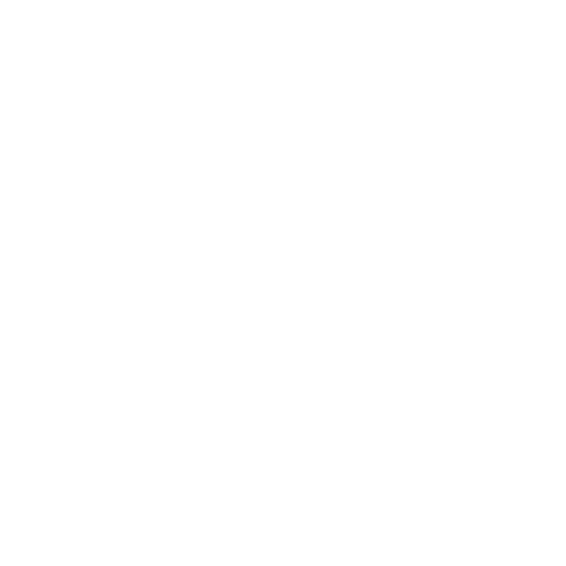 Icon SWITCH