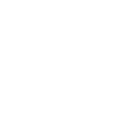 Icon Spaced Repetition